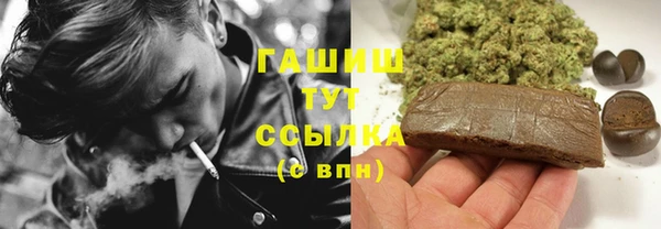 стаф Бердск