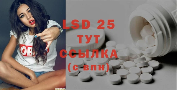 стаф Бердск