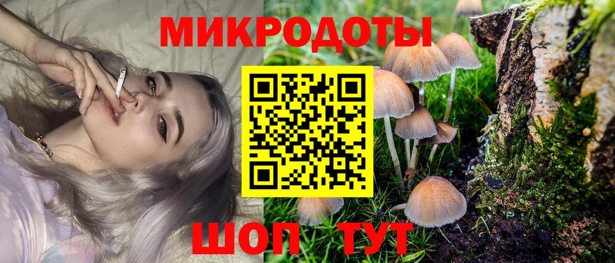Заринск  Галлюциногенные грибы GOLDEN TEACHER  Вход с VPN  наркошоп  Псилоцибиновые грибы Magic Shrooms 