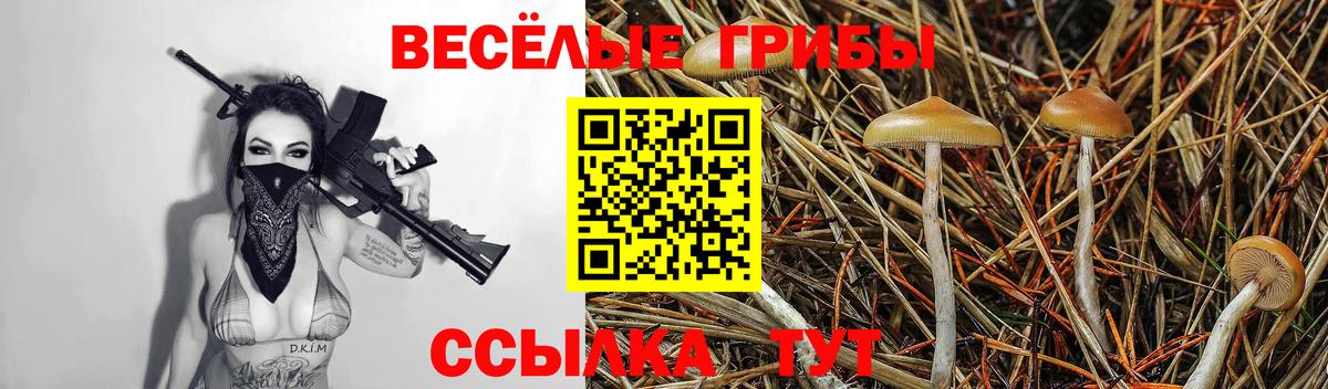 Псилоцибиновые грибы Cubensis Заринск